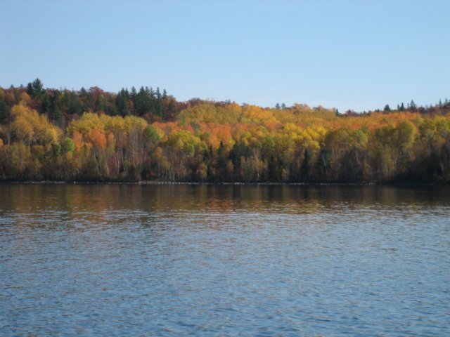 img_6835.jpg