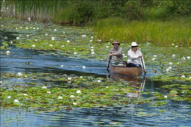 paddlinglilypond3.jpg