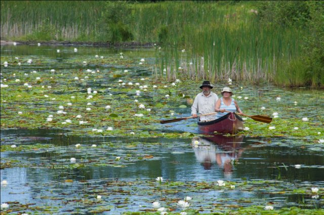 paddlinglilypond4.jpg