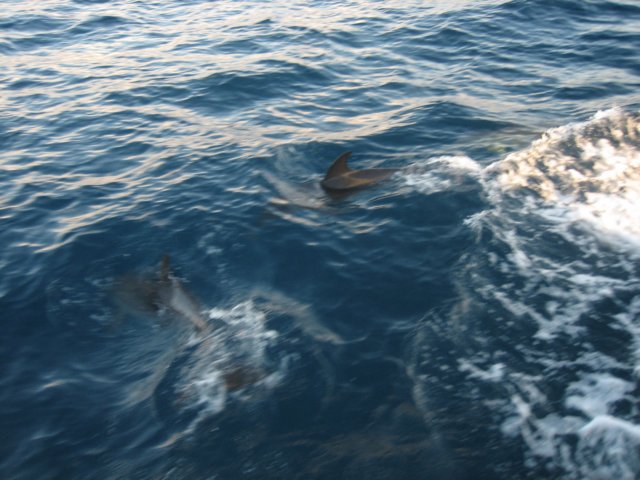 img_2046.jpg