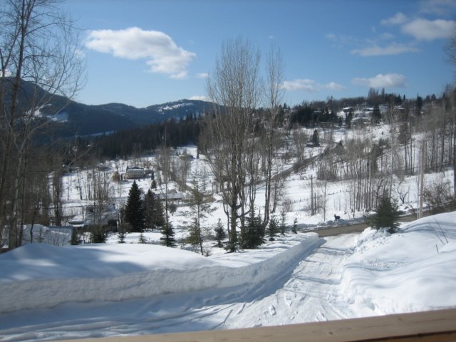 img_3315.jpg