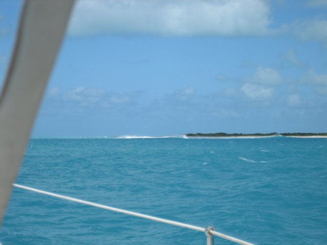 img_0973.jpg